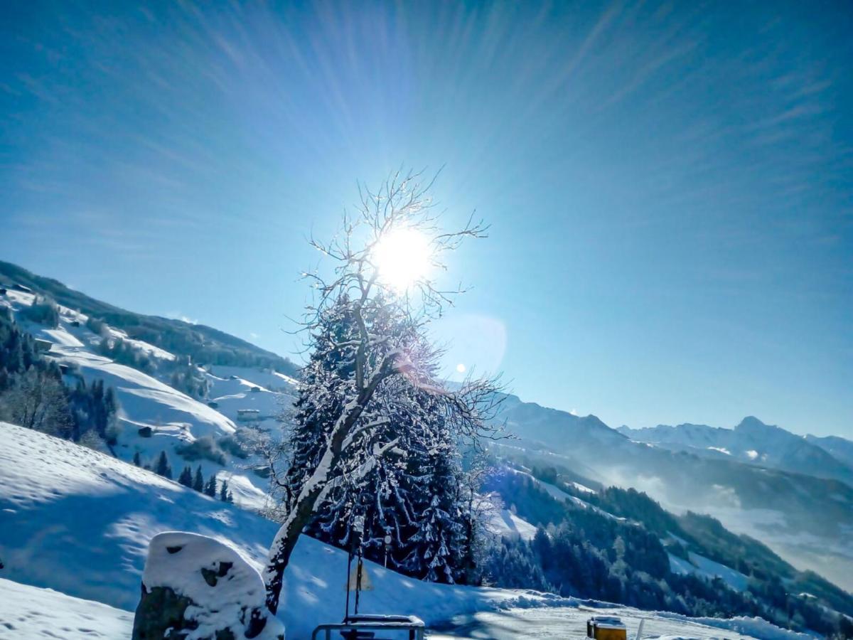 Apartment Wildbachl By Interhome Aschau Im Zillertal Esterno foto